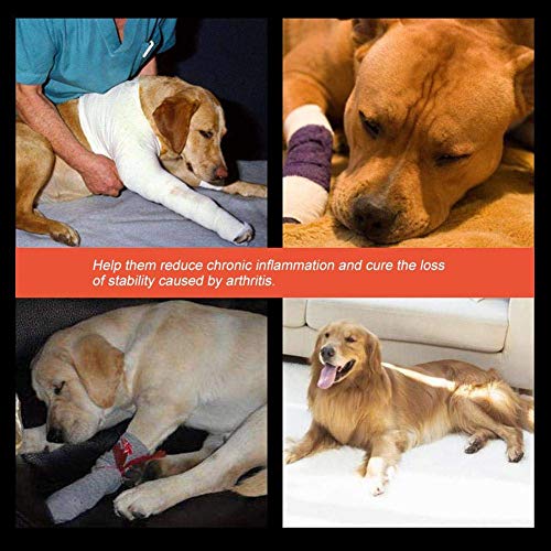 1 par de patas delanteras de perro para heridas, protección de articulaciones, vendaje quirúrgico para mascotas (M)