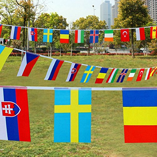 100 banderas de países diferentes, banderas internacionales del mundo, Guirnalda de Banderas para Bar,decoración de fiesta(14 cm x 21 cm)