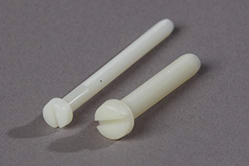 12 tornillos cilíndricos de plástico con ranura DIN 84, ISO 1207, material nailon, PA/poliamida (nailon, M5 x 60 mm)