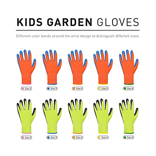 2 pares de guantes de jardín para niños de 2 a 3 años, de 4 a 5 años, de 6 a 13 años, con revestimiento de goma de espuma y guantes de trabajo para niñas (S, de 11 a 13 años)