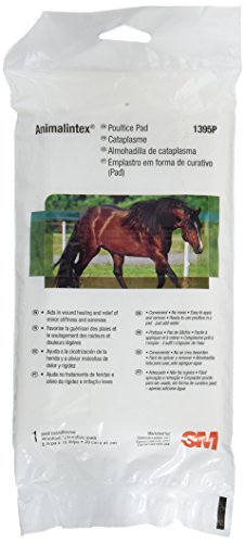 3M Animalintex Poultice 8x16in by