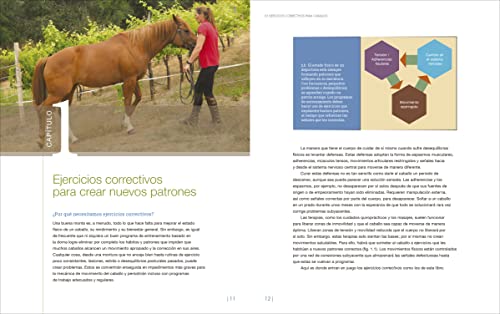 55 ejercicios correctivos para caballos: Cómo resolver problemas posturales, mejorar patrones de movimiento y prevenir lesiones