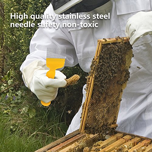 7pcs / set Herramientas de equipo de apicultura que incluyen cepillo, rascador de tapado, agarre de marco, herramienta de colmena, atrapasueños, incrustador de espuelas, tubo de marcado de reina