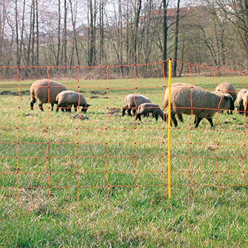 Agrarzone red para ovejas valla premium con electricidad naranja-amarillo 50m x 90cm | Estacas de fibra de vidrio extremadamente estables y doble punta | Para ovejas cabras | Para pastos, cabras