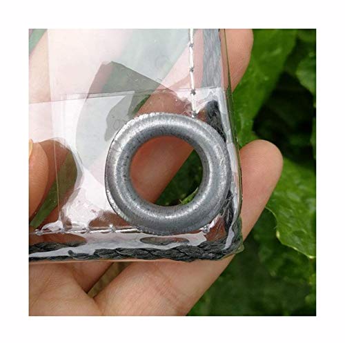 AMSXNOO Lona Transparente, 0,3mm Lona de PVC Impermeable de con Ojales, Cubierta Vegetal Versátil para Pabellones, Terrazas, Protección contra el Viento (Size : 2.4x3m)