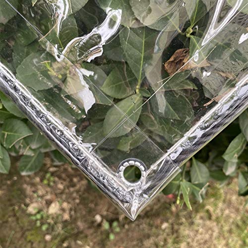 AMSXNOO Lona Transparente, 0,3mm Lona de PVC Impermeable de con Ojales, Cubierta Vegetal Versátil para Pabellones, Terrazas, Protección contra el Viento (Size : 2.4x3m)