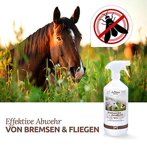 AniForte Spray contra tábanos para caballos 1L - Repelente eficaz y de larga duración contra los tábanos, Protección contra Mosquitos, Moscas, parásitos, Bloqueador de tábanos