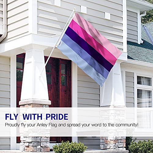 Anley Fly Breeze Bandera de orgullo omnisexual de 3 x 5 pies, colores vivos y a prueba de decoloración, encabezado de lona y doble costura, banderas omnisexuales LGBT de poliéster