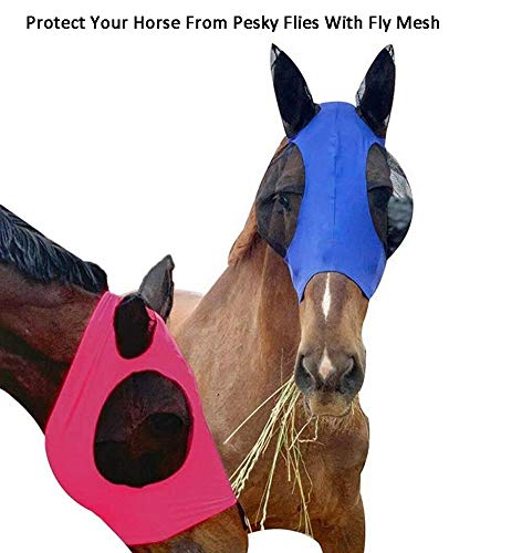 Anqi - Velo de mosca para caballo, protección UV para máscara de caballo, con ojos de malla, capucha para orejas y orejas, agarre cómodo, licra suave, malla, buena visibilidad, color azul