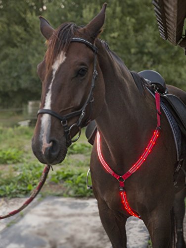 Arnés para caballo con luces LED, recargable mediante USB, ajustable, resistente y cómodo, Regular, Rojo Rubí