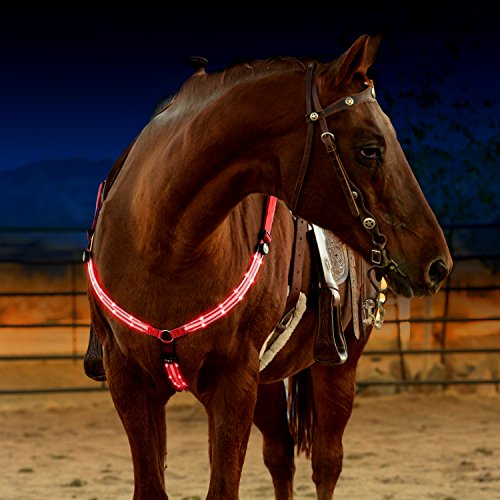 Arnés para caballo con luces LED, recargable mediante USB, ajustable, resistente y cómodo, Regular, Rojo Rubí