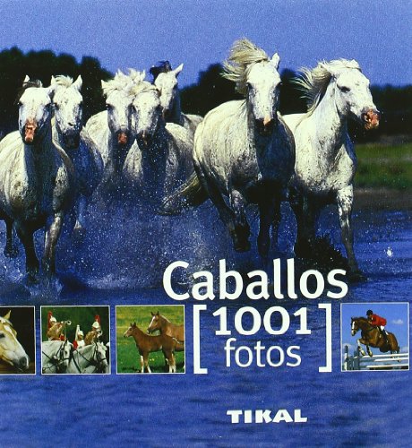 Caballos (1001 Fotos)