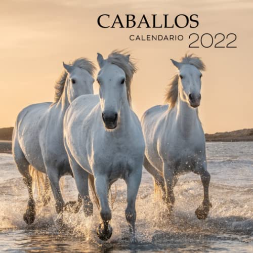 Caballos calendario 2022: Calendario de pared de caballos 2022, regalo original