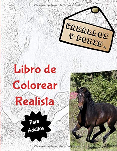 Caballos Y Ponis – Libro de Colorear Realista Para Adultos: 25 escenas naturales de caballos, ponis y potros | de gran formato, cómoda encuadernación para diestros y zurdos