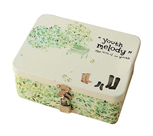 Caja de seguridad linda caja de caja de cosméticos box-s/botas