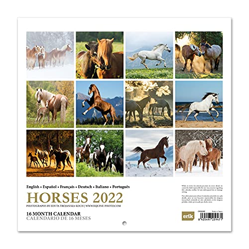 Calendario caballos 2022 - Calendario 2022 pared - Calendario pared animales | Calendario mensual - Producto con licencia oficial