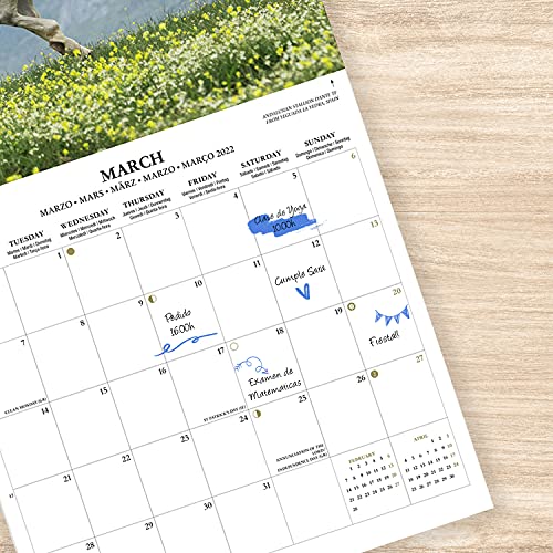 Calendario caballos 2022 - Calendario 2022 pared - Calendario pared animales | Calendario mensual - Producto con licencia oficial