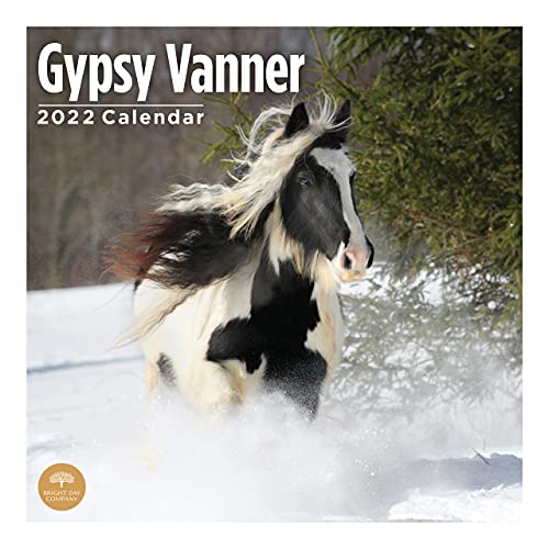Calendario de pared 2022 Gypsy Vanner por Bright Day, 30,5 x 30,5 cm, caballo de animales de granja