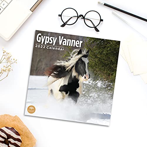 Calendario de pared 2022 Gypsy Vanner por Bright Day, 30,5 x 30,5 cm, caballo de animales de granja