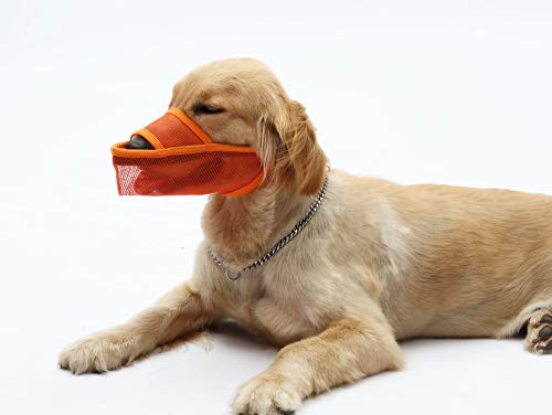Cilkus Bozal de nailon para perro, transpirable, para perros pequeños, medianos y grandes, y boca para mascotas que no muerda, antilamidas, evita comer basura (pequeño, naranja)