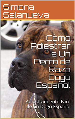 Cómo Adiestrar a Un Perro de Raza Dogo Español : Adiestramiento Fácil de un Dogo Español