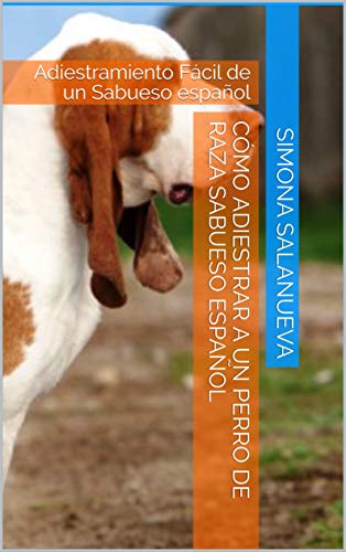 Cómo Adiestrar a Un Perro de Raza Sabueso español: Adiestramiento Fácil de un Sabueso español