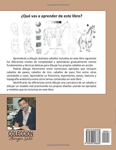 Como Dibujar Caballos / Animales Domesticos: Volume 14 (Coleccion Borges Soto)