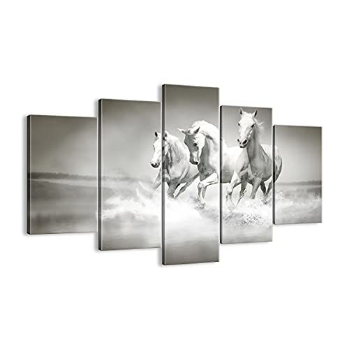 Cuadro sobre lienzo - Impresión de Imagen - Granja caballos galope libertad - 150x100cm - Imagen Impresión - Cuadros Decoracion - Impresión en lienzo - Cuadros Modernos - EA150x100-2389