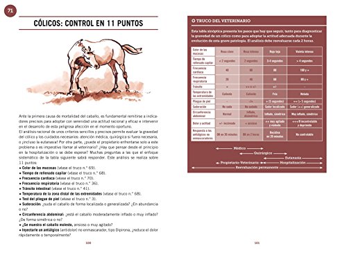 Cuidados Del Caballo. 100 Consejos Y Trucos Del Veterinario (Deportes)