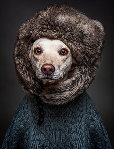 Dog People: Sandy Muller