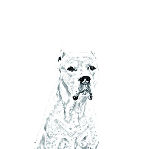 Dogo Argentino, colección de Collares con Imagen de Perro, sublimación