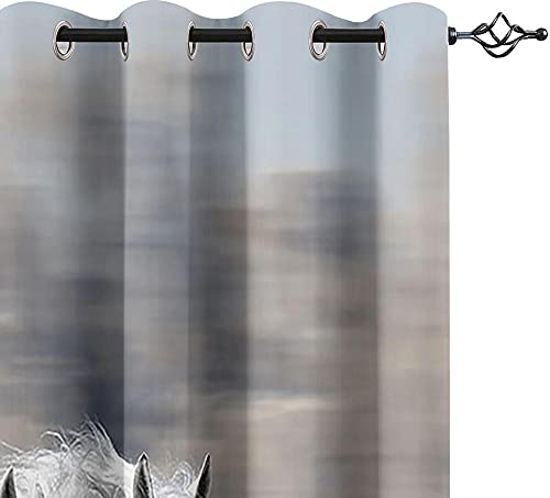 DRFQSK 3D Caballo Blanco De La Moda Del Arte Patrón Cortinas Salon Modernas 2 Piezas Opacas 200 X 160 Cm（An X Al）Cortinas Termicas Aislantes Frio Y Calor Cocina Decoración Ventanas Para Dormotorio In