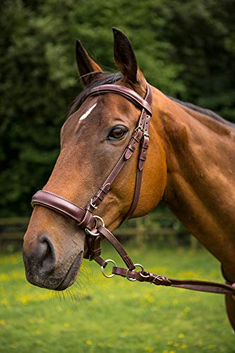 EASYTREK marrón cuero anatómico caballo brida PONY, MAZORCA, COMPLETO, X tamaño completo (Full (Large))