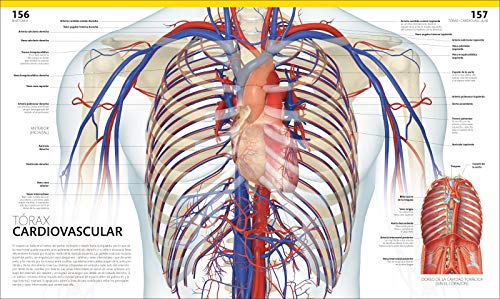 El gran libro del cuerpo humano.: La guía visual definitiva actualizada y ampliada, segunda edición (Conocimiento)