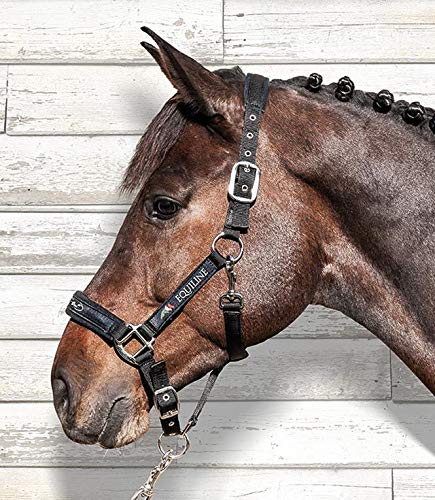 Equiline Juego de cabestro y punto, tamaño de accesorios para caballos, pony, color negro