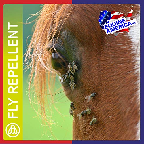 Equine America - Repelente antimoscas picadoras para caballos (750 ml)