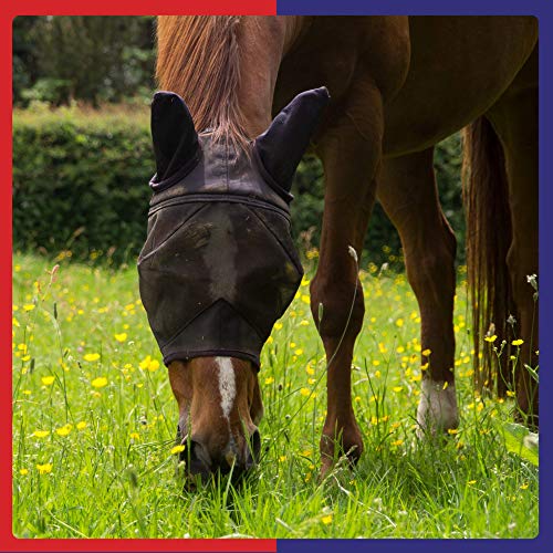 Equine America - Repelente antimoscas picadoras para caballos (750 ml)