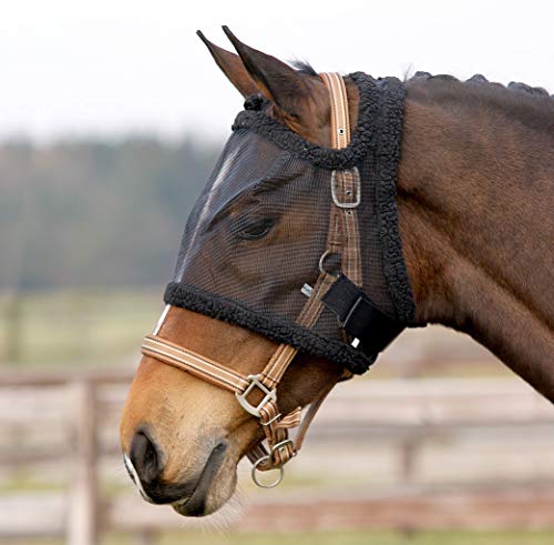 Equipride QHP - Máscara de mosca para caballo sin protección para orejas (potro, negro)