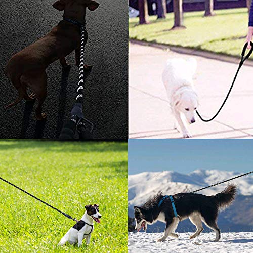 EvejoyShop Correa para perros y animales de 1,5 m con mango acolchado y hilos altamente reflectantes para perros pequeños, medianos y grandes, color azul