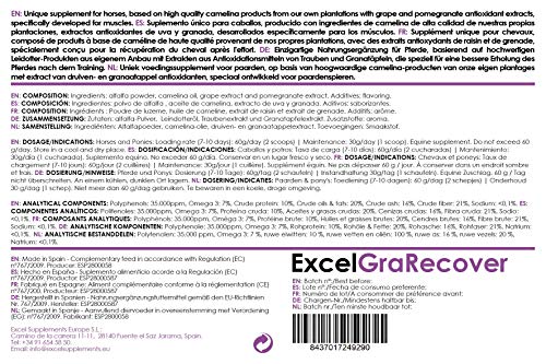 Excel Supplements Europe Excel GraRecover 1Kg | Suplemento para Caballos | Suplemento Muscular | Recuperación Muscular | Cuidado del Caballo | Salud del Caballo | Previene calambres