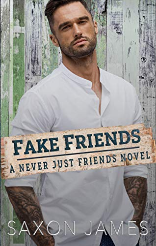 Fake Friends (Never Just Friends Book 2) (English Edition)