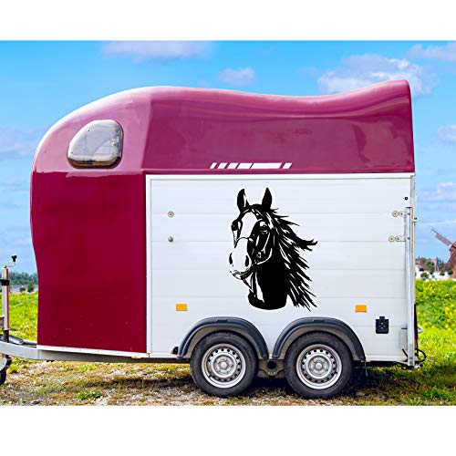 Finest Folia Adhesivo decorativo de cabeza de caballo, para coche, remolque, camión, caballo, coche, decoración, diseño de animales, K039 (negro brillante, 30 x 21 cm)