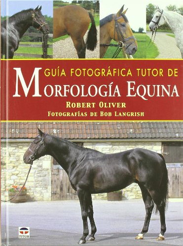 Guía fotográfica tutor de morfología equina