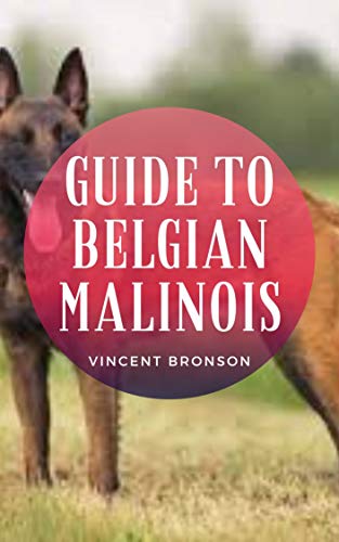 Guide to Belgian Malinois : Dog, (Canis lupus familiaris), is a domestic mammal of the family Canidae (order Carnivora). It is a subspecies of the gray ... and is related to foxes. (English Edition)