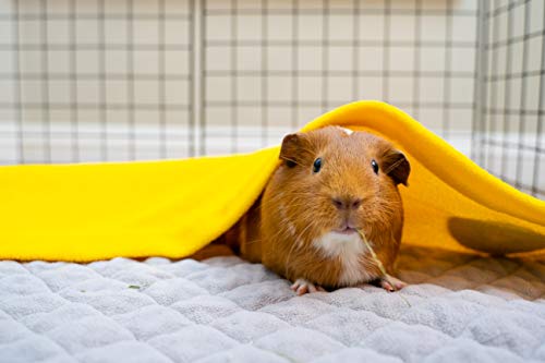 GuineaDad Liner Talla C&C 2x3, Amarillo | Forros de Jaula de vellón de Conejillo de Indias | Ropa de Cama de Conejillo de Indias | Bambú Absorbente | Fondo Impermeable