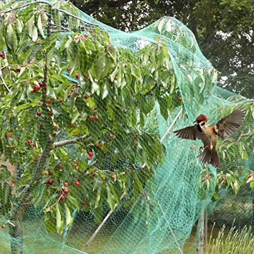 HellDoler Red para Pájaros,Red para el Jardín Malla Anti-pájaros de para Protección de Jardín, Plantas, Verduras,Árboles de Frutas (3m x 10m x 2pcs)