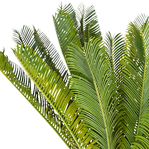 hjh OFFICE Planta Artificial Cycas Palme Altura 70 cm Verde 24 Palmwedel Artificial Palme Palmfarn Palmfarn Artificial 871004