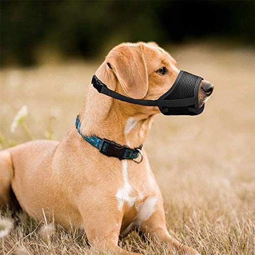 Homkeen Bozal para perro, bozal suave para perro que evita morder ladridos y masticar con malla transpirable de lazo ajustable (XL, negro)