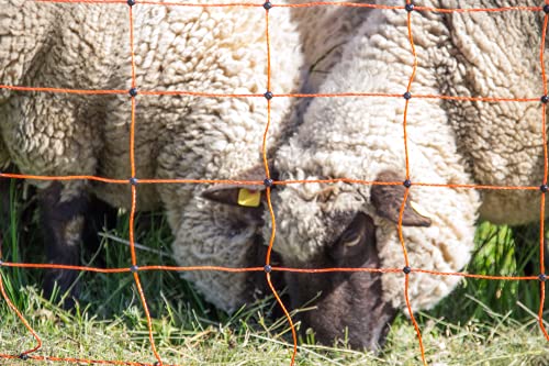 horizont Malla eléctrica para ovejas y Animales domésticos Altura 90cm - Longitud 50m Doble Punta 14 Postes Sencillos Cabras, Valla electrificable para pastos