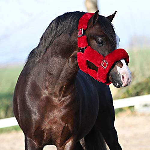 Horsegear Cabestro Suave in Size: Pony. - Rojo - Pony